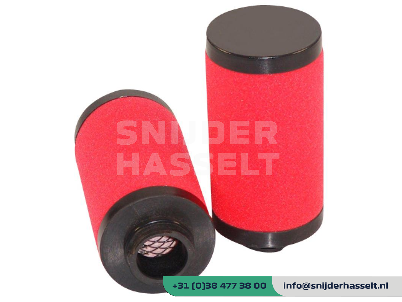 DISI80361